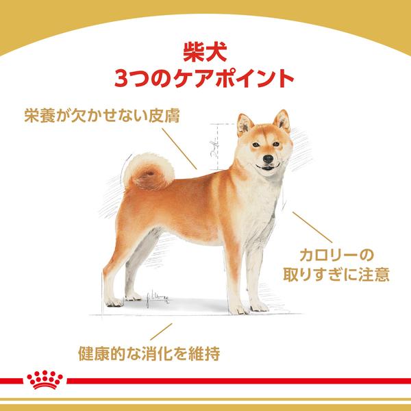 ロイヤルカナン（ROYAL CANIN） 犬 柴犬 8kg ドッグフード 成犬用