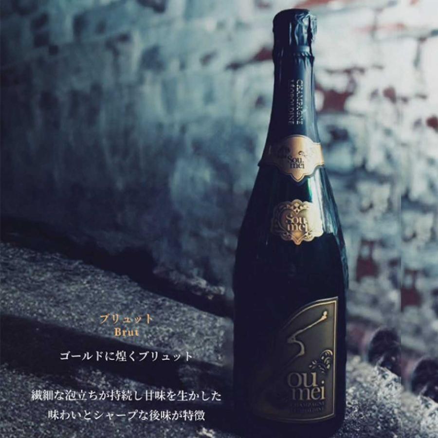 正規品＞SOUMEI ソウメイ 6本セット ル・セクストゥール 750ml×6本