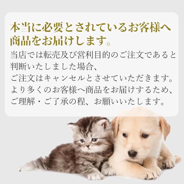 ロイヤルカナン（ROYAL CANIN） 正規品 猫ドライ キトン 2kg 成長後期