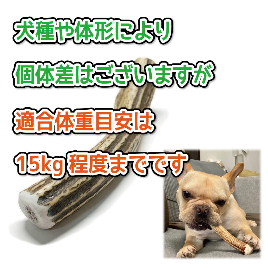 鹿の角 中型 犬 用 鹿角さん 割っていないタイプ1本 天然 無添加
