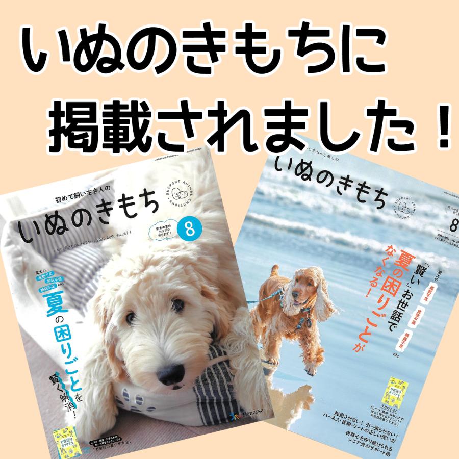 鹿の角 小型 犬 用 鹿角さん 四つ割り 1本 天然 無添加 北海道産 蝦夷