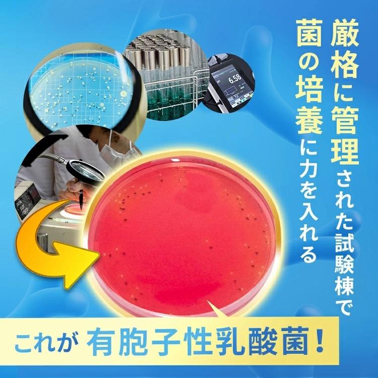 明治薬品 公式 ラクトロン錠 180錠 指定医薬部外品 整腸 サプリメント