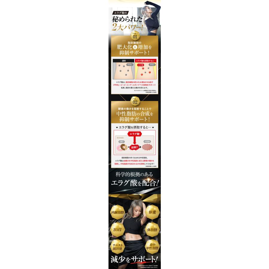 公式_正規販売店】3個セット キラーバーナー II ダイエットサプリ 倖田