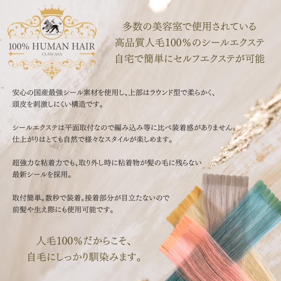 シールエクステ 約27〜30cm 1シート(2〜4本分) 人毛エクステ カラー