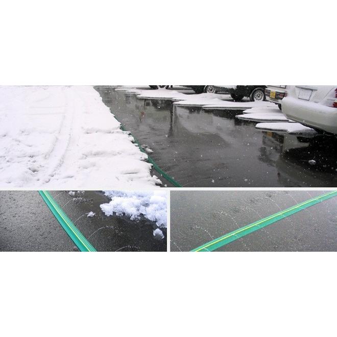 家庭用 両穴 10m KUP-10W 融雪プロテクター・消雪ホース 大研化成 夏の