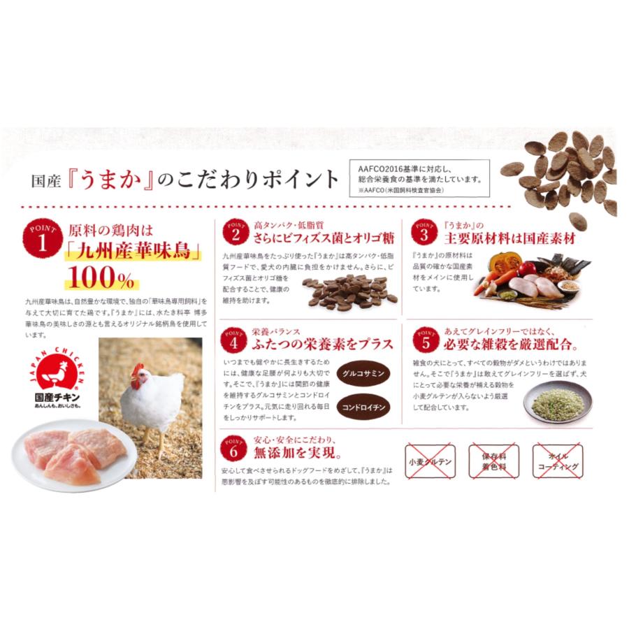 うまか 犬 ドッグフード 1.5kg プレミアム UMAKA umaka : SBSヤフー
