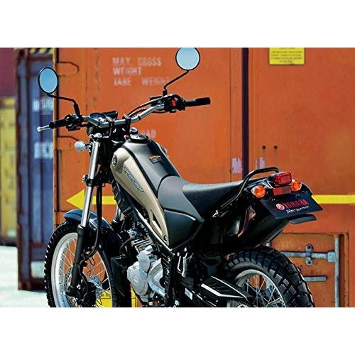 セロー 250 ファイナル エディション カスタム リアスプロケット T45