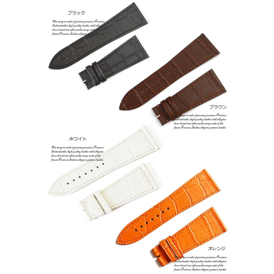 FRANCK MULLER（フランクミュラー） 向け」輸入王オリジナル 6000用