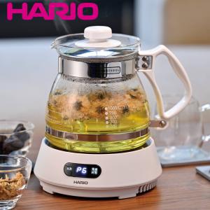 象印（ZOJIRUSHI） 漢方 煎じ器 文火楽々 とろびらんらん 薬膳