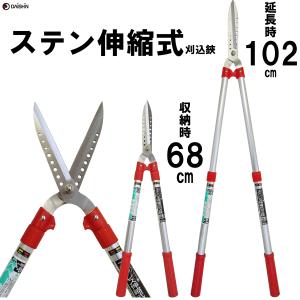昌国 コブ切 小 No,36 : 盆栽ショップ わびさび Yahoo!店 - 通販
