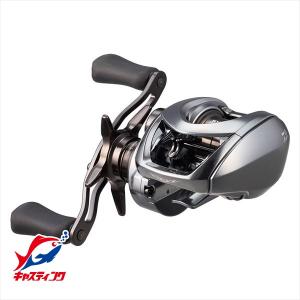 DAIWA（ダイワ） 24 スティーズ SV TW 100XHL 送料無料 : ますびと商店