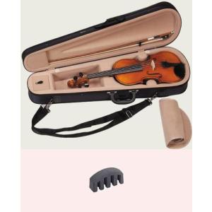 スズキ（SUZUKI） Suzuki No.102 1/10 1969年 Violin 分数バイオリン