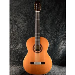 Ibanez（アイバニーズ） PC33CE NT アコースティックギター エレアコ