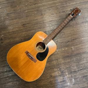 FERNANDES（フェルナンデス） Fernandes W-300 石ロゴ Acoustic Guitar