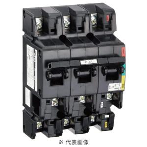 日東工業 DS62MC 2P 60A 自動電源切替開閉器リレー内蔵型 極数2P 定格