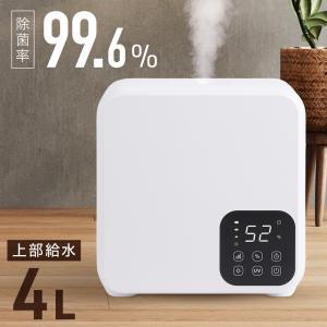 象印（ZOJIRUSHI） スチーム式加湿器 EE-RR50-WA EERR50 : 卸直売