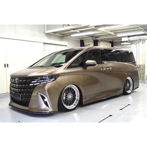 40系 アルファード モデリスタ リヤクォーターガーニッシュ : オート