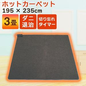MORITA（モリタ） ホットカーペット 3畳 195x235 TMC-300 MORITA 本体