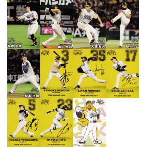 チーム本塁打王カード/全12種】カルビー 2024 プロ野球チップス第1弾