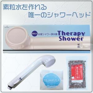 フリーサイエンス 正規代理店【Newデザイン】セラピーシャワー 1台