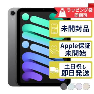 iPad mini 【あすつく、土日、祝日発送、店舗受取可】新品未開封品【N