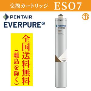 エバーピュア 4DC 浄水器カートリッジ 業務用 : 厨房 キッチンプラス