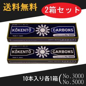 コウケントー 光線治療器用カーボン 3001番 5000番 セット 10本入り各1