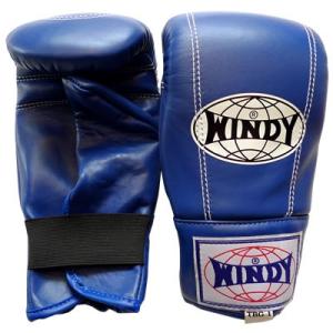 WINDY ウィンディ レッグプロテクター／ペア LPPU Mサイズ 黒 : NTS