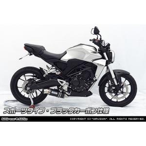 WirusWin CB250R(2BK-MC52) ダイナミックマフラー ユーロタイプ フル