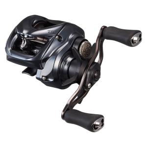DAIWA（ダイワ） 【目玉商品】ダイワ 25 タトゥーラ SV TW 100HL 左