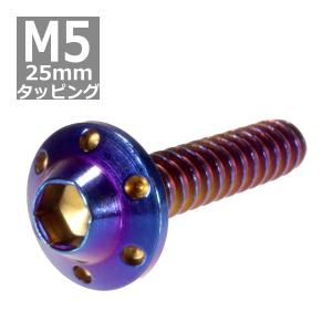 M5×25mm タッピングネジ タッピングビス タッピングボルト 焼きチタン
