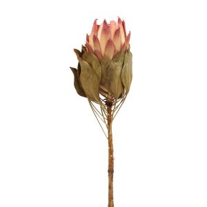 ドライフラワー 花材 即日出荷 グレビレア・ゴールド ワイルドフラワー