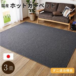 MORITA（モリタ） ホットカーペット 3畳 195x235 TMC-300 MORITA 本体