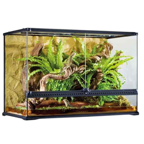 aquapet_b-af-6ke-018991