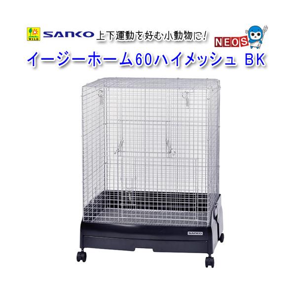 fish-y_sanko20220502-13