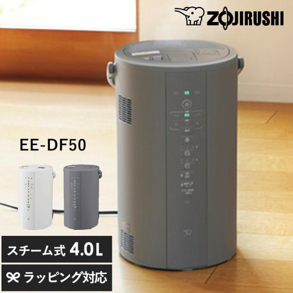 象印 加湿器 ポット型 EE-DF50-HA WA グレー 4L 広口容器 寝室