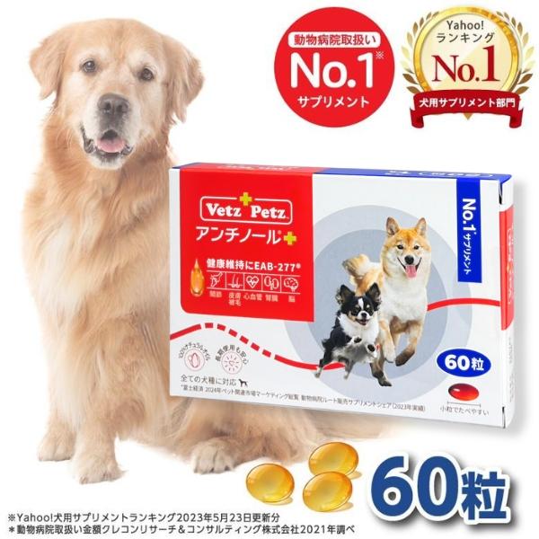 アンチノール プラス 犬用サプリメント 60粒 スキンサポートパッケージ