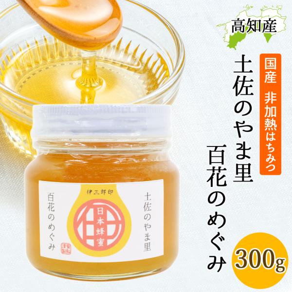 日本ミツバチ 蜂蜜 300g 安和 奥四万十産 はちみつ ハチミツ 無添加 非