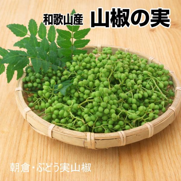 山椒の実（生）500g 和歌山産 実山椒 ぶどう山椒/朝倉山椒 【クール便