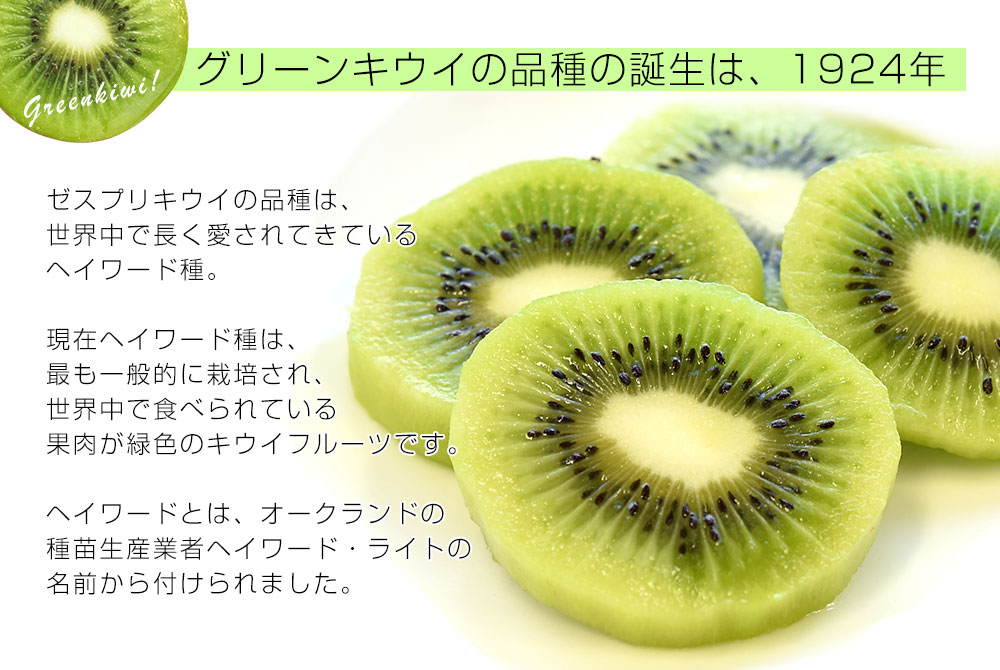 ニュージーランド産 ゼスプリ・グリーンキウイ 大玉 3.5キロ前後（25玉