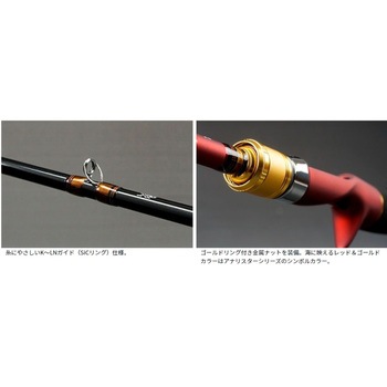 アナリスター 湾フグ 175 DAIWA(ダイワ)[船舶用品・漁業資材] 継数3本
