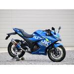 LB3250JM フルEX SS-OVAL 焼き色タイプ 20-22 ジクサーSF250 1個 WR'S