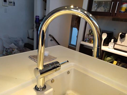 Hansgrohe（ハンスグローエ）タリス M54 シングルレバーキッチン混合水