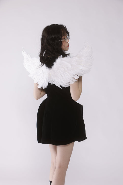 Velvet mini dress | Judin