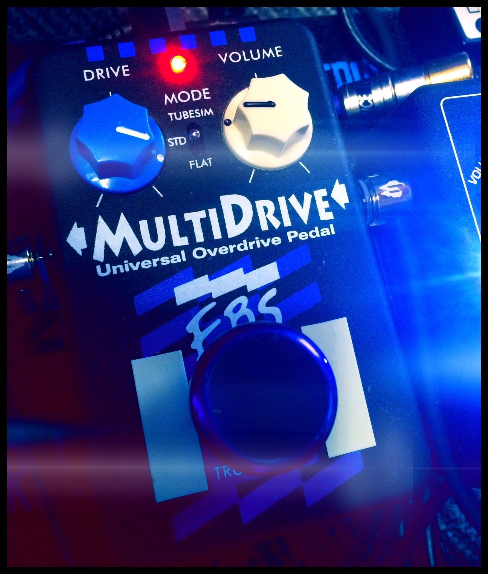 EBSのMULTIDRIVEとMetalDrive: 亀田誠治師匠を愛するベースマン亀美