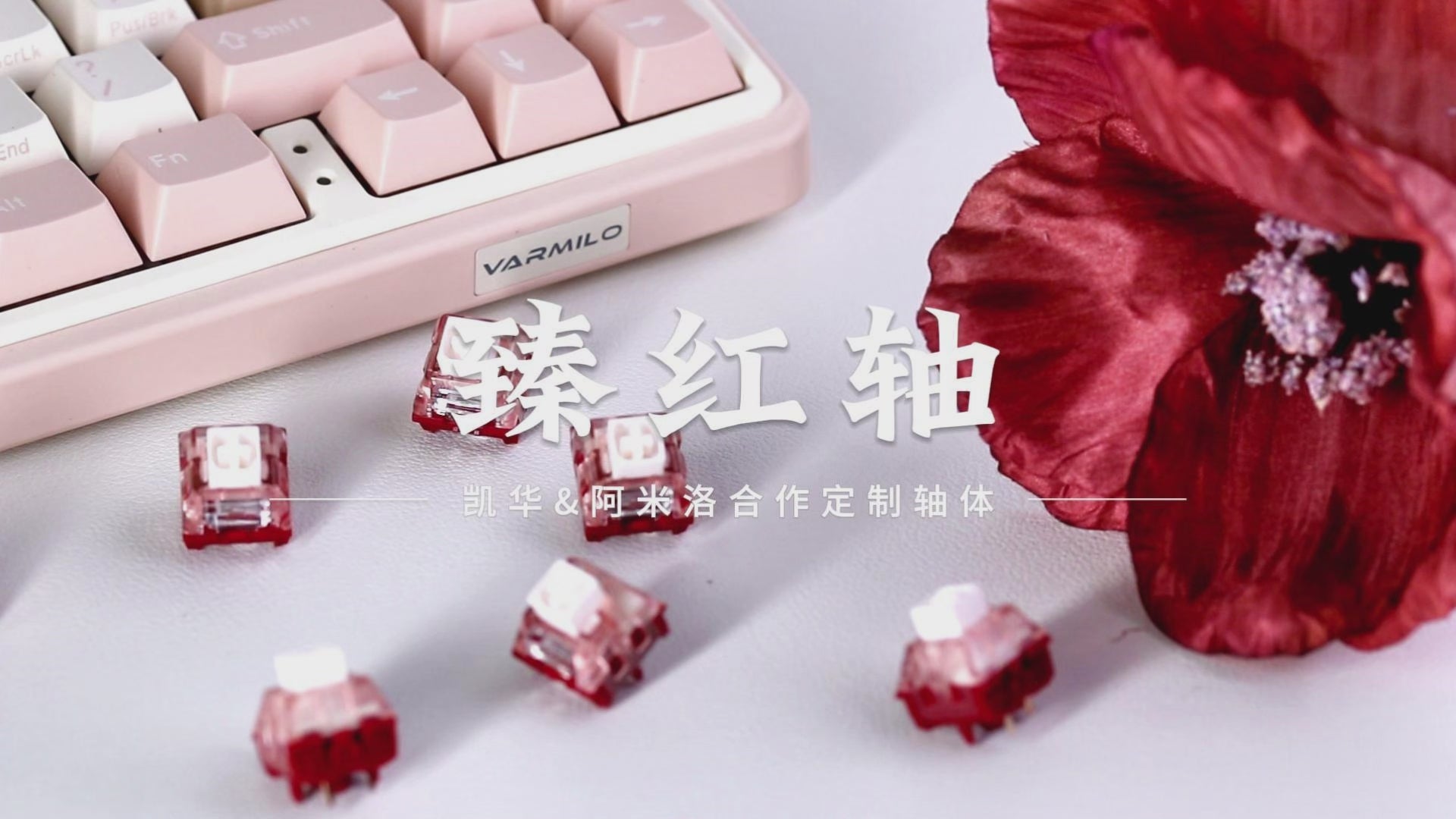 Kailh Customized Keyboard Switch Prestige Series Ask the Crane Delight