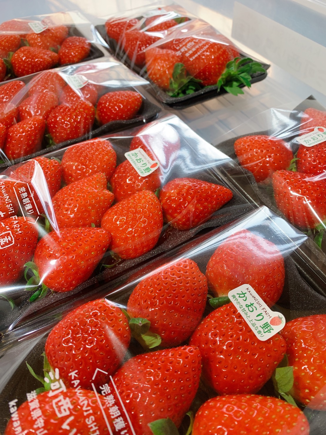 朝摘み完熟いちごの店頭パック販売がスタートしました。 – 完熟朝穫り