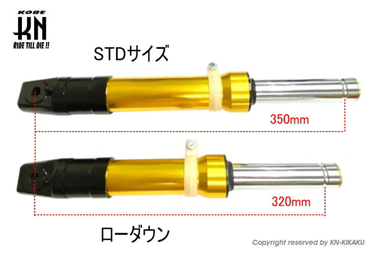 フロントフォーク【ディオ系DISK】ブラック/ブラック – kn926-net
