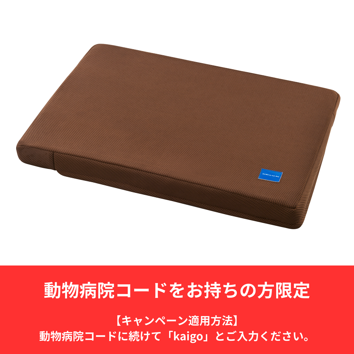 kaigo.png?crop=center&height=