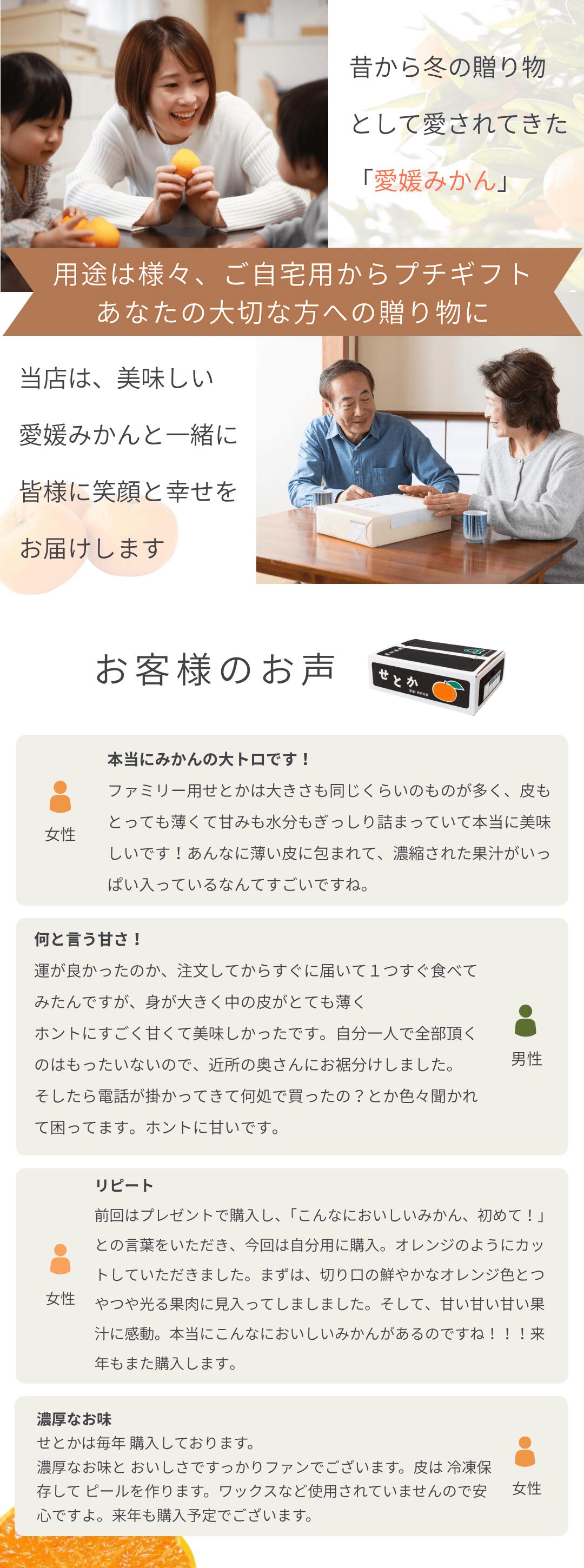 濃厚な甘みが特徴の愛媛西宇和産せとかを産地直送【お試し用12kg】